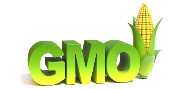 gmo