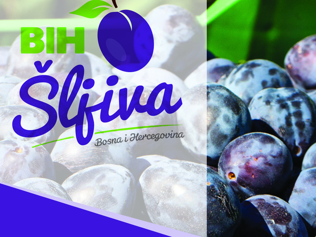 sljiva bih