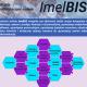 Biznis informacioni sistem 